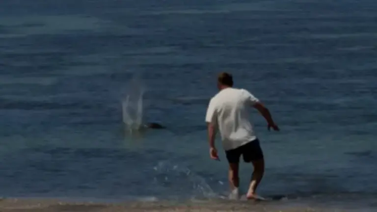 Igor Mykhaylovych Lytvynchuk of Covington, Washington is seen standing a beach near Lahaina, Maui, Hawaii on Tuesday, May 5, 2026, as the rock splashes the water. (Courtesy: United States Justice Department)