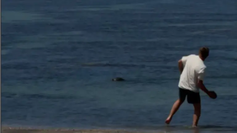 Igor Mykhaylovych Lytvynchuk of Covington, Washington is seen holding a large rock on a beach near Lahaina, Maui, Hawaii on Tuesday, May 5, 2026. (Courtesy: United States Justice Department)