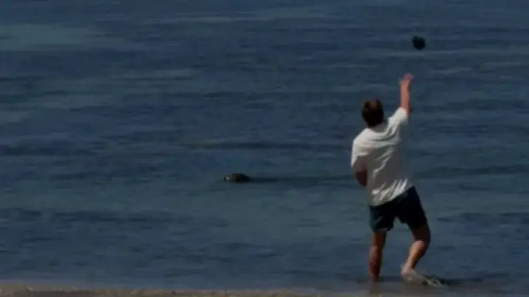 The rock can be seen midair as Igor Mykhaylovych Lytvynchuk's (of Covington, Washington) is in the air on a beach near Lahaina, Maui, Hawaii on Tuesday, May 5, 2026. (Courtesy: United States Justice Department)