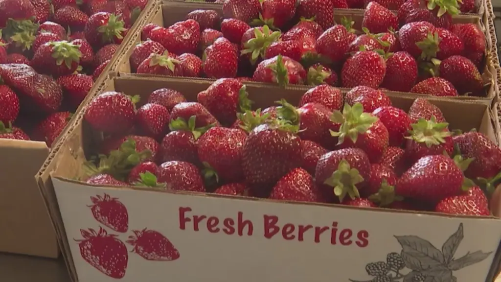 High Point farmers happy to see rain relief (WGHP)