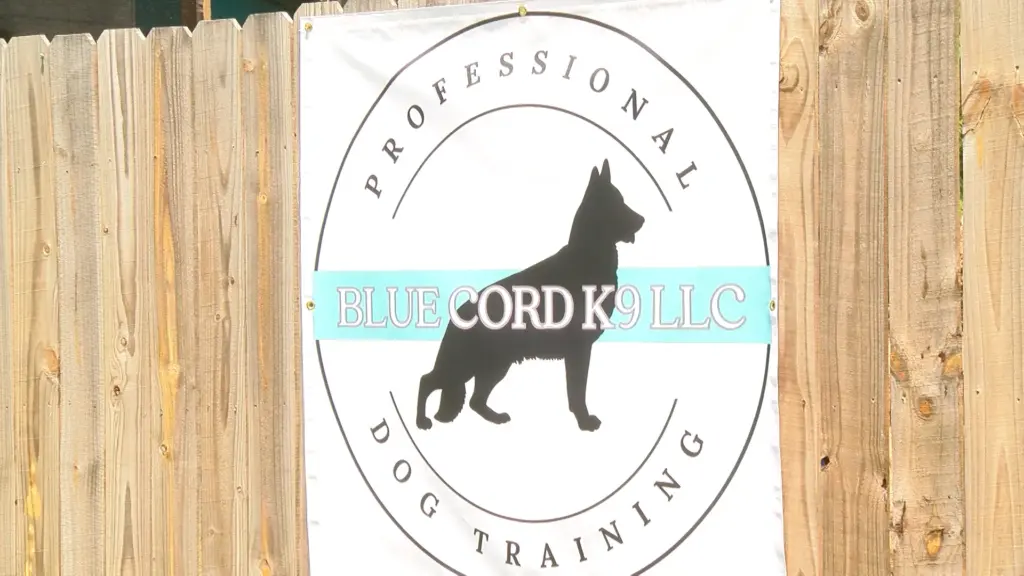 Larinda Watts, owner of Blue Cord K9 Training, suffered serious injuries in a crash along Rockfish Road on Friday.