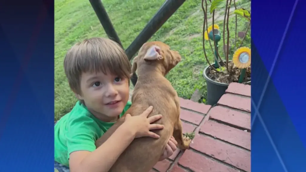 5-year-old killed in High Point hit-and-run