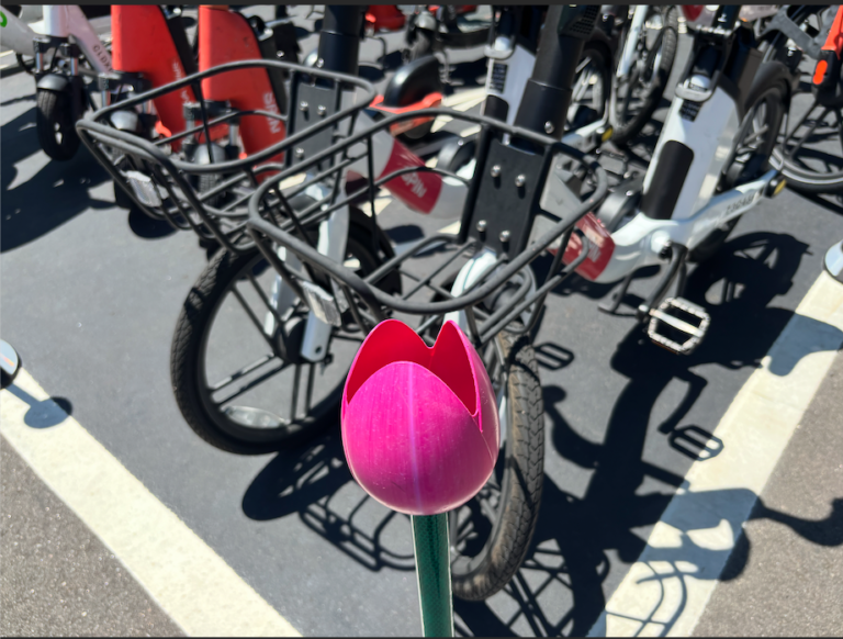 The project also features Tulip Cycle Delineators, traffic markers with flower designs. More will be installed at the remaining locations by the end of the year, according to city officials. (City of Raleigh)
