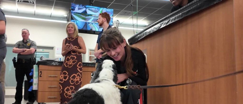 Chatham County dog Mr. Pickles reunites with the rescuers who saved his life. (VEG ER for Pets)