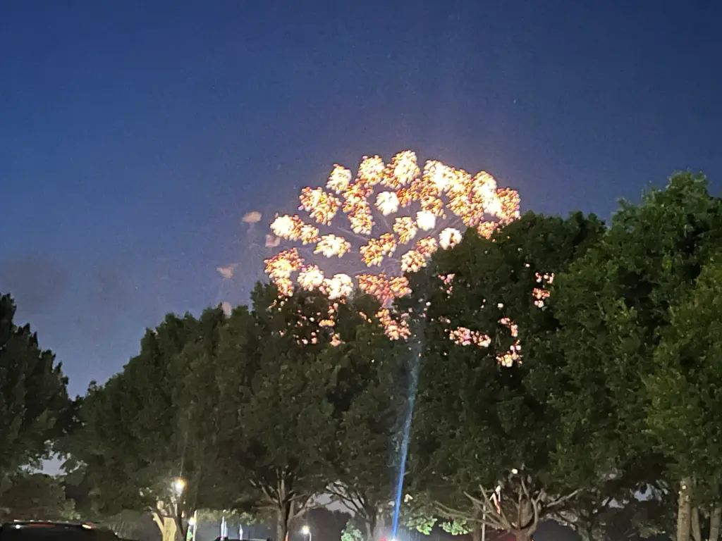 Fireworks at Lake Benson Park in Garner. (Greg Funderburg)