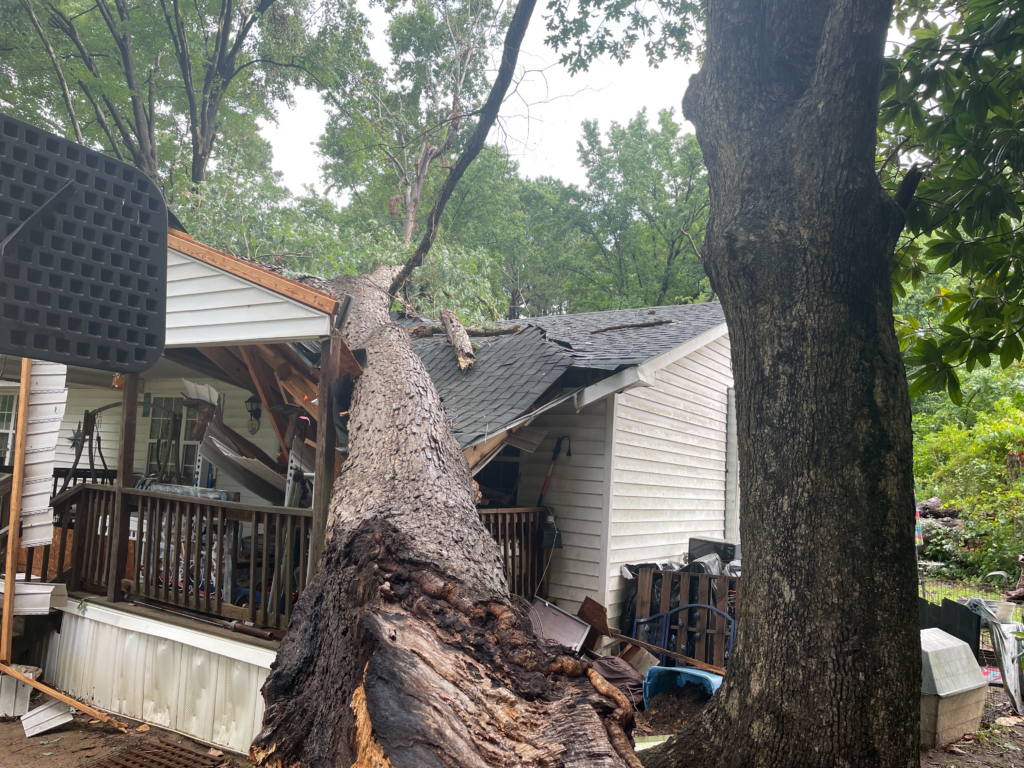 A massive tree fell on a house in Franklin County on Monday. (Franklin County NC Emergency Services)